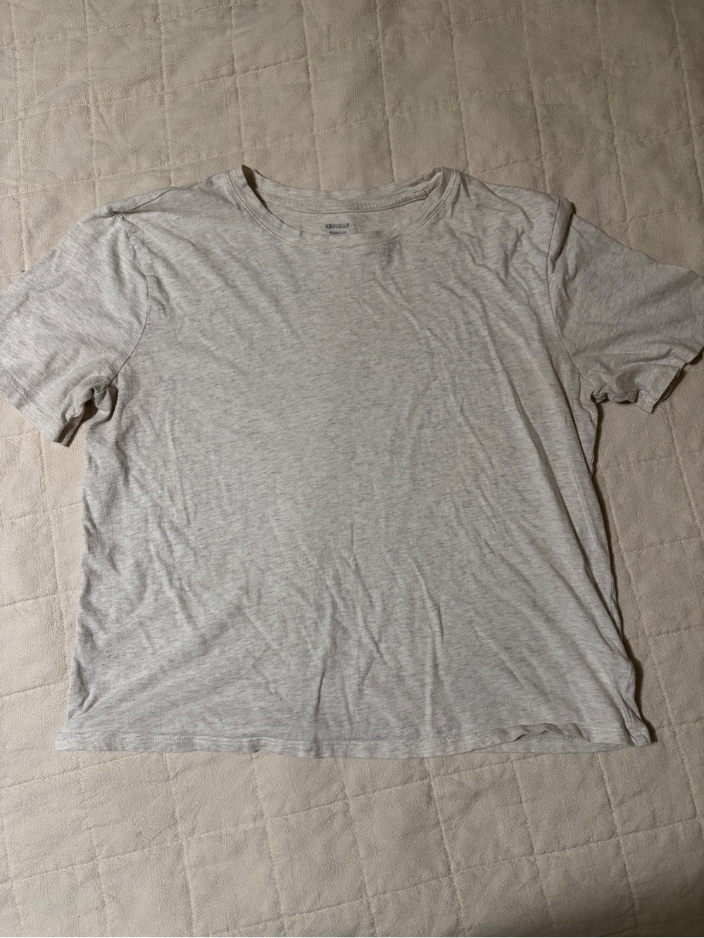 Express Short Sleeve Crewneck T-Shirt in Light Gray Cream